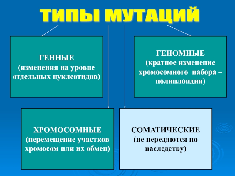 Виды мутаций картинки