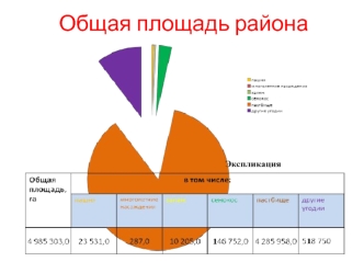 Общая площадь района