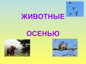 Животные осенью