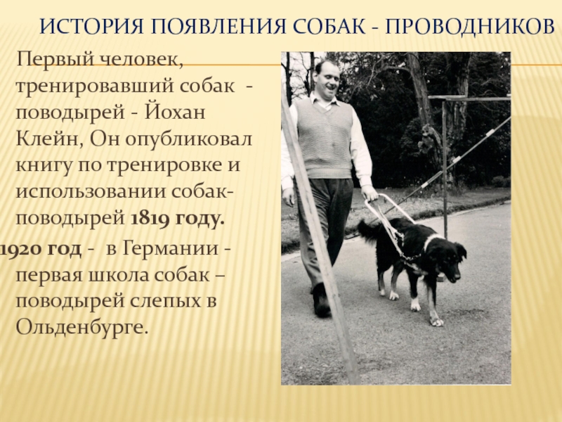 история происхождения дрессировки собак