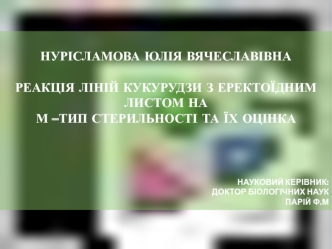 Реакція ліній кукурудзи з еректоїдним листом на м-тип стерильності та їх оцінка