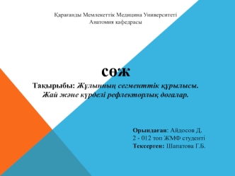 Жұлынның сегменттік құрылысы. Жай және күрделі рефлекторлық доғалар