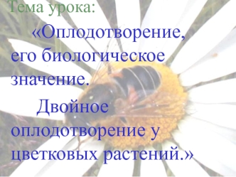 Оплодотворение, его биологическое значение. Двойное оплодотворение у цветковых растений