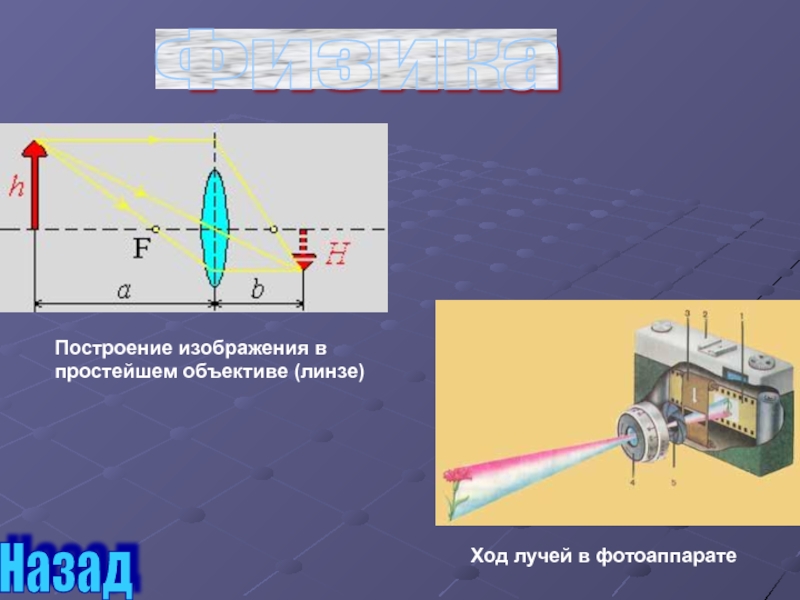 Схема построения изображения в фотоаппарате физика 8 класс