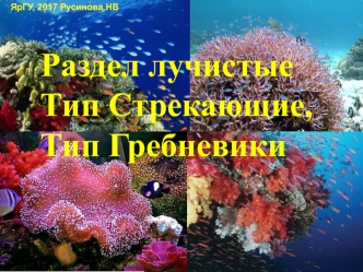 Раздел лучистые, Тип Стрекающие, Тип Гребневики