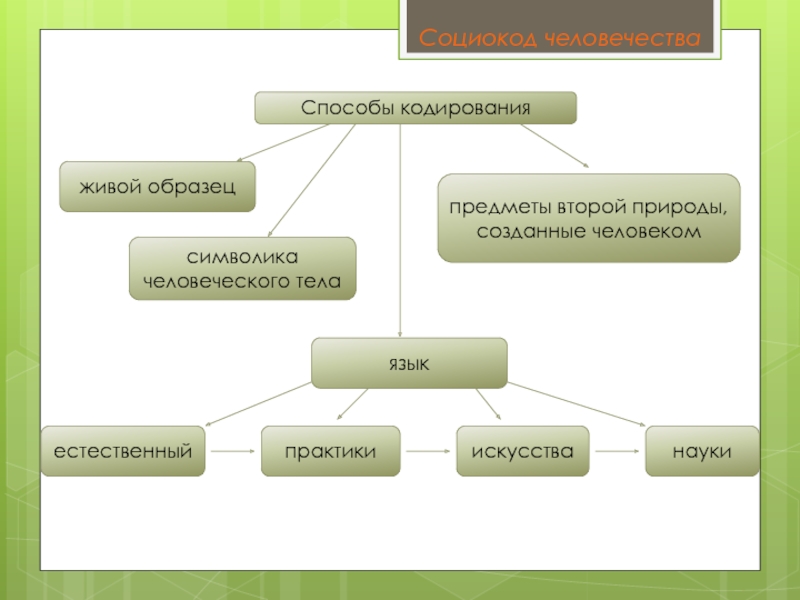 Есть внутренняя культура та культура которая стала второй природой человека составить план