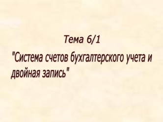 Система счетов бухгалтерского учета и двойная запись