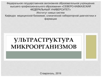 Ультраструктура микроорганизмов