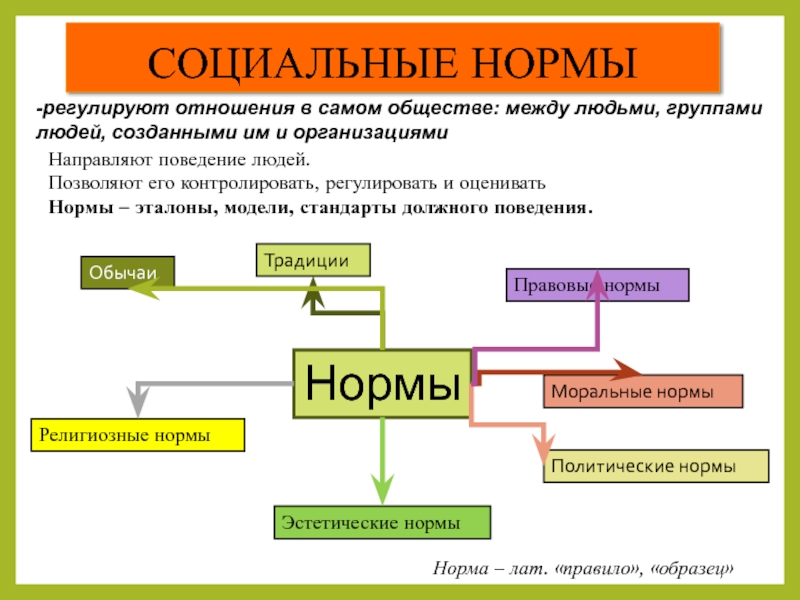 Контрольная работа социальные ценности и нормы 7. Нормы регулирующие поведение человека. Нормы в социологии. Социальные нормы направляют поведение. Эталон норма.