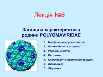 Загальна характеристика родини polyomaviridae