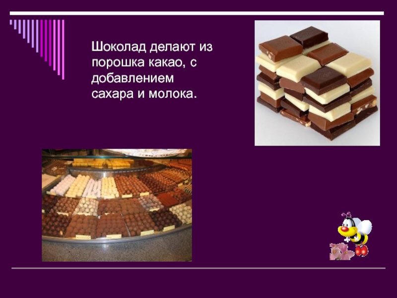 Из чего делают шоколад. Шоколад. Из чего делается шоколад картинки. Из чего изготавливают шоколад. Откуда берется шоколад.
