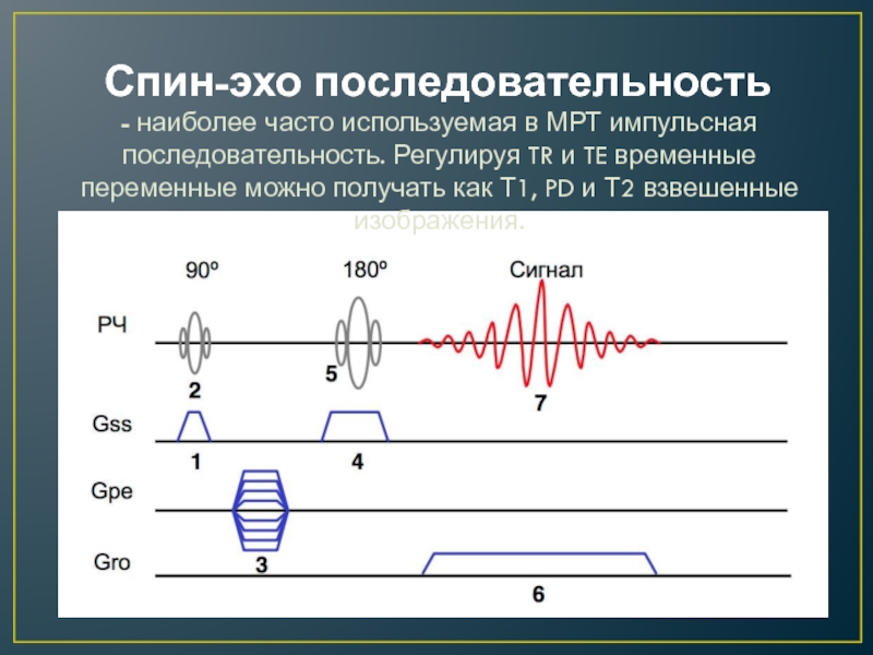 Эхо времени. Импульсные последовательности спин Эхо. Спин Эхо последовательность. Спин Эхо мрт. Спин Эхо последовательность мрт.