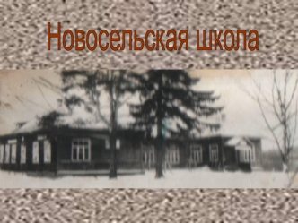 Новосельская школа