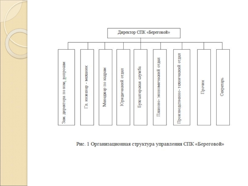 Спк примеры. Учетная политика СПК береговой. СПК береговой. Совхоз береговой Кемеровская область.