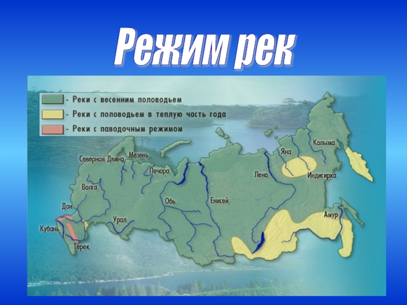 Две самые большие реки россии. Реки России. Крупные реки России список. Крупнейшие реки России на карте. Карта самых больших рек России.