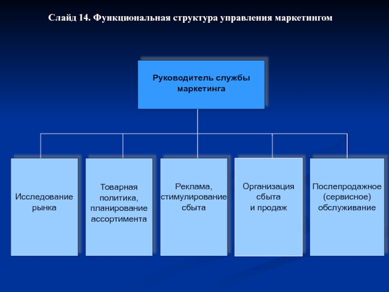 Функциональная г. Функциональная структура города. Функциональная структура управления маркетингом. Начальник управления маркетинга. Функциональная структура технического объекта.