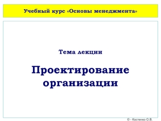 Проектирование организации. (Лекция 10)