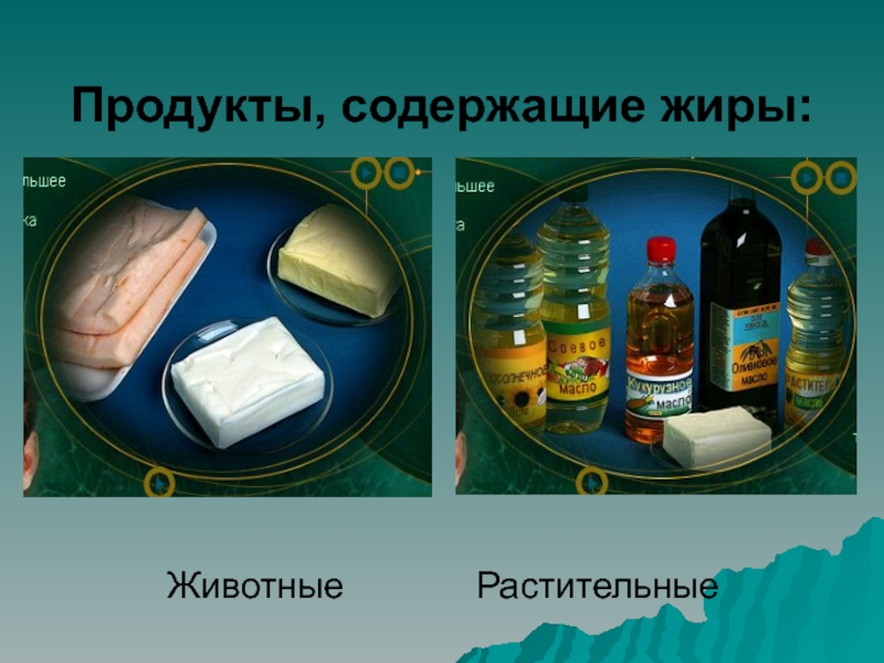 Какие продукты составляют жиры