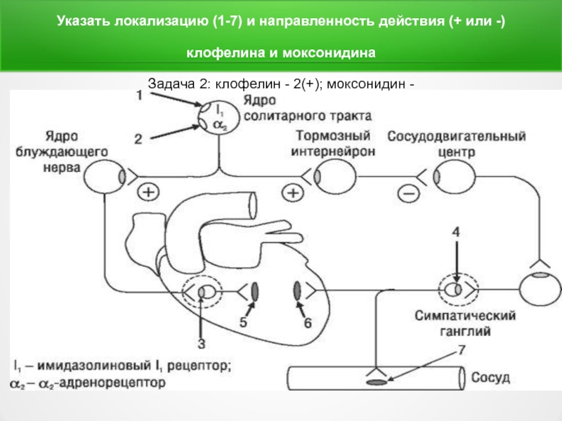 Моксонидин аддитивный эффект