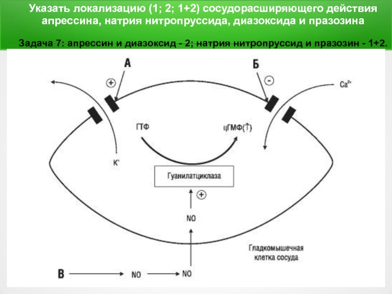 Натрия цитрат механизм действия