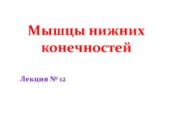 Мышцы нижних конечностей. Лекция № 12