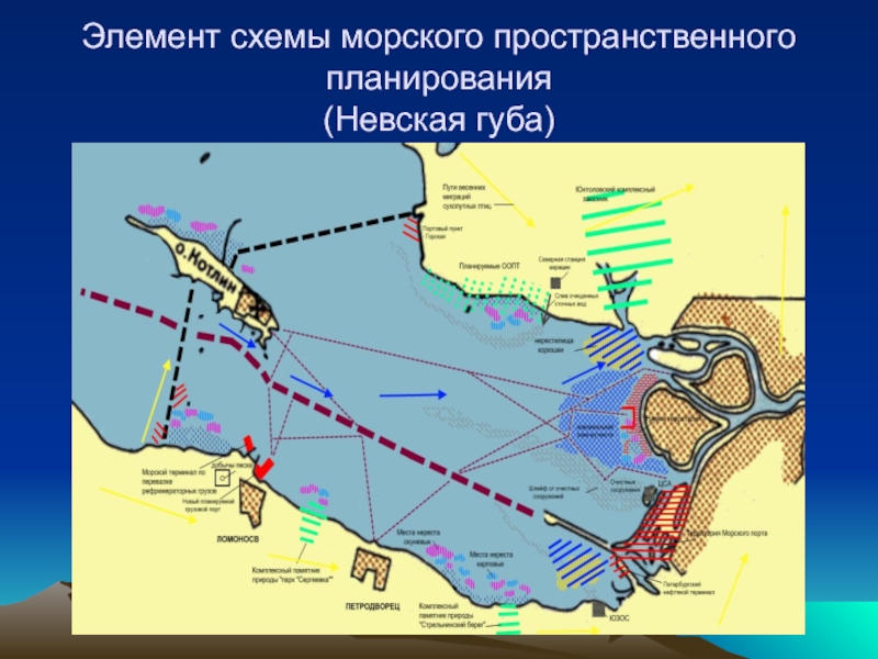 Карта невской губы