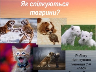 Як спілкуються тварини