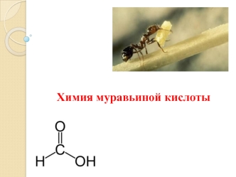 Химия муравьиной кислоты