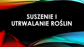 Suszenie i utrwalanie roślin