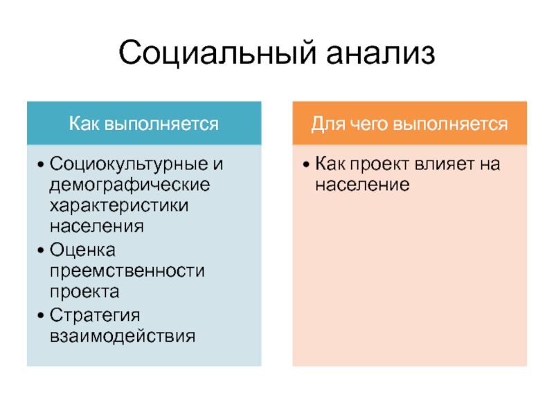 Социальный анализ проекта это