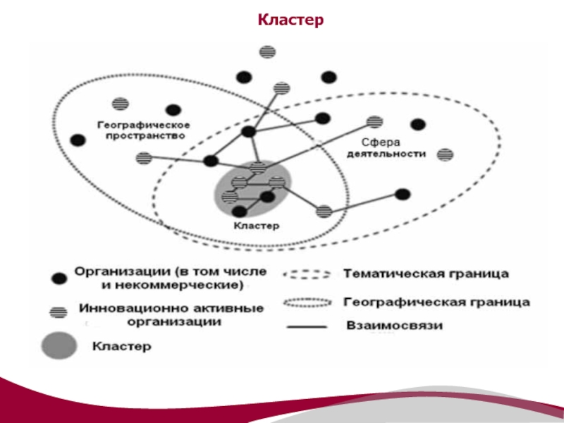 Географическое пространство 8 класс. Кластер деятельность. Кластерная организация. Схема пространства. Социальный кластер.