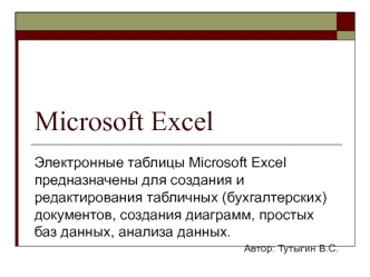 Электронные таблицы Microsoft Excel