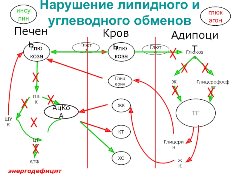 Нарушение липидного