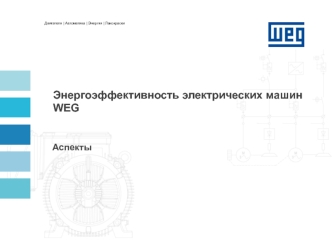 Энергоэффективность электрических машин WEG