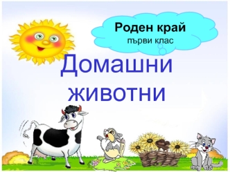 Домашни животни