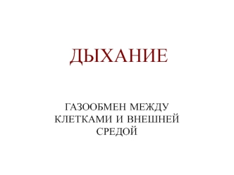 Дыхание. Газообмен между клетками и внешней средой