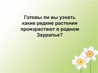 Готовы ли вы узнать какие редкие растения произрастают в родном Зауралье?