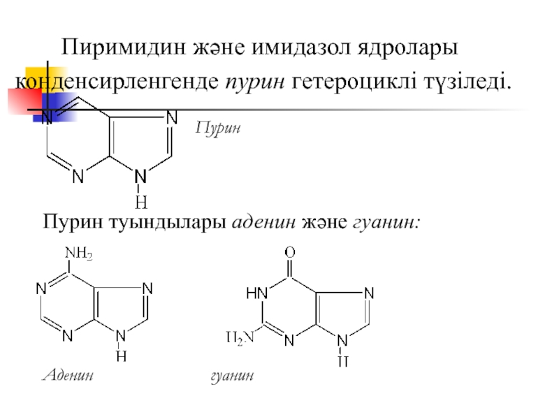 Пиримидин. Пурин аденин. Пурин структурная формула. Пурины и пиримидины. Пиримидин имидазол Пурин.