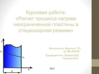 Курсовая работа:
Расчет процесса нагрева неограниченной пластины в стационарном режиме