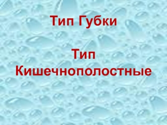 Тип ГубкиТип Кишечнополостные