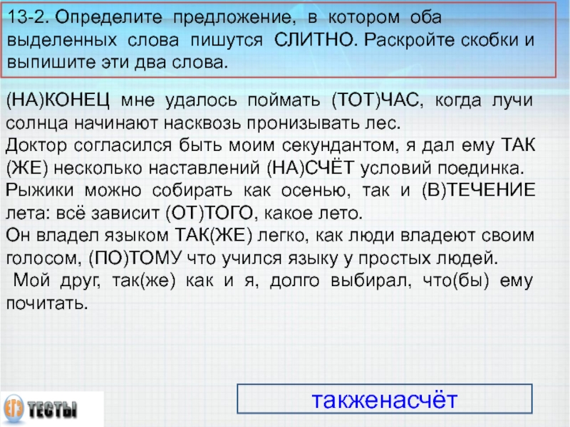 (НА)КОНЕЦ мне удалось поймать (ТОТ)ЧАС, когда лучи солнца начинают насквозь пронизывать лес. Доктор согласился быть моим