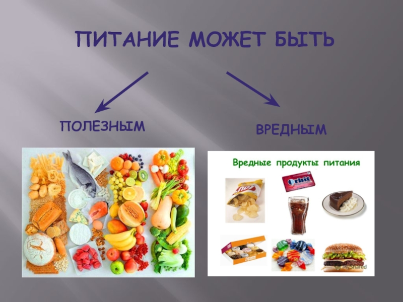 Проект продукты которые вредны