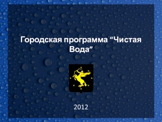 Городская программа “Чистая Вода”