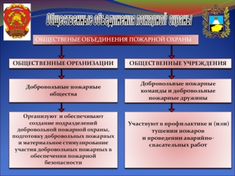 ОБЩЕСТВЕНЫЕ ОБЪЕДИНЕНИЯ ПОЖАРНОЙ ОХРАНЫ