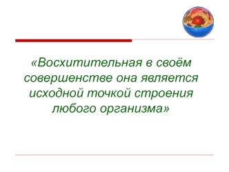 Восхитительная в своём совершенстве она является исходной точкой строения любого организма