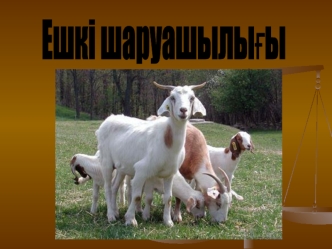 Ешкі шаруашылығы