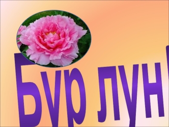 Бур лун