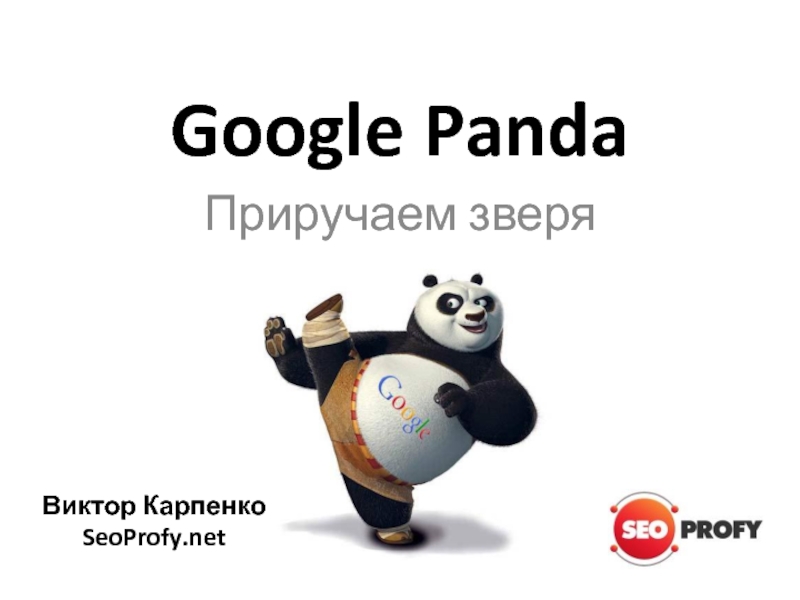 Укротить зверя проверочное. Google Panda.