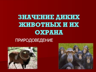 ЗНАЧЕНИЕ ДИКИХ ЖИВОТНЫХ И ИХ ОХРАНА