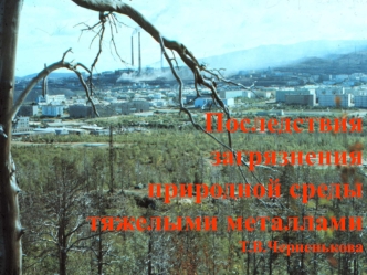Последствия загрязнения природной среды тяжелыми металламиТ.В.Черненькова